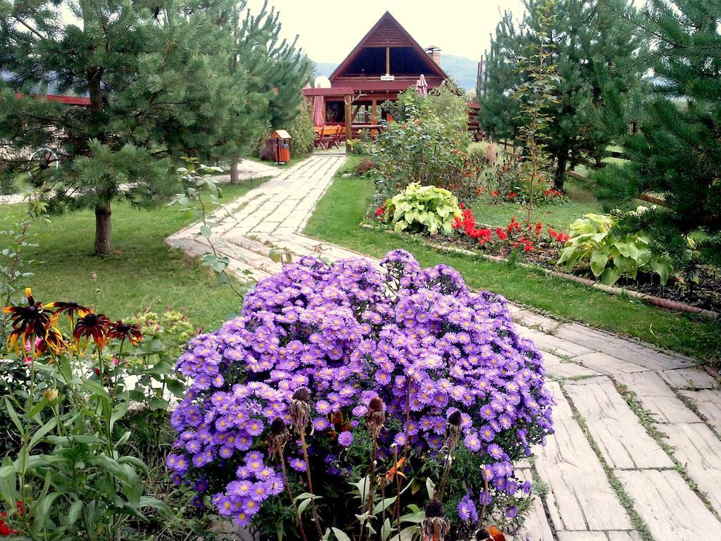 Pensiunea Perla Neamtului Minastirea Neamt Exterior foto